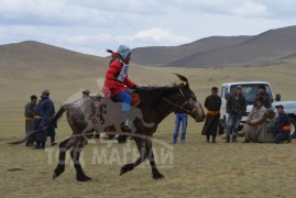 С.Энх-Амгалангийн хээр буурал
