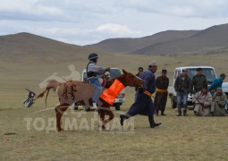 М.Агваандандарын халзан