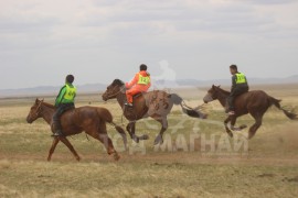 Манлайн хүү одтой наадав
