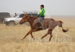 С.Ганбаатарын зээрд