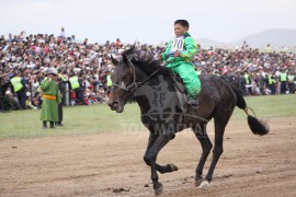 Аймгийн Алдарт уяач Ганзоригийн Тэмүүлэнгийн халтар