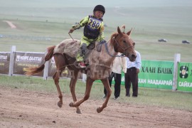 Пэлжээгийн Одонбаатарын зээрд
