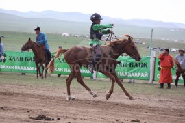Анандын Ариунсайханы зээрд