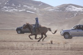 Түрүү Ариунсайханы зээрд хязаалан