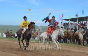 Дэлхийд дээд амжилтанд бүртгүүлэх