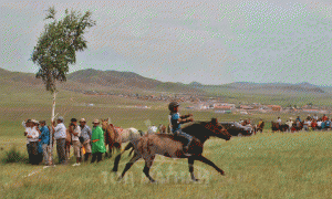 Отгонтэнгэрийн хул