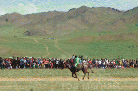 Н.Базаргарьдын хүрэн
