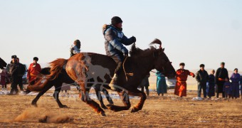 Айргийн дөрөв-н.Дэдэгийн хонгор халзан