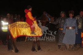 Н.Баасанжавын хээр