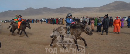 Болдсайханы “Асгат” саарал азарга