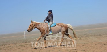 Айргийн тав-Жарандаваагийн шарга