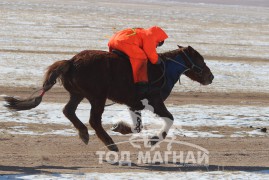 Жамъянгийн Энхбатын зээрд