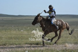 Айргийн гурав-Я.Ган-Очирын саарал