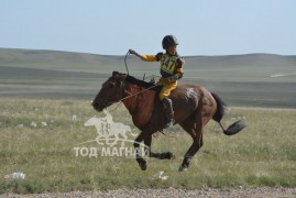 Айргийн тав-Ч.Цэрэнбатын хээр
