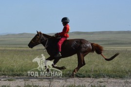 Ес-Э.Батзаяагийн хондон