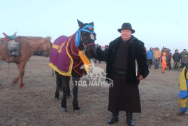 ДААМАЙ ХУРДАН ДАНШГИЙН ХАР