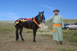 Аймгийн Алдарт уяач Ц.Дэлгэрдалай: Халзан морь намайг дээлэндээ багтахааргүй болтол нь баярлуулсан