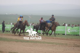 Эхний аравт хурдалсан хурдан азарганууд