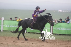 Эхний аравт хурдалсан хурдан азарганууд